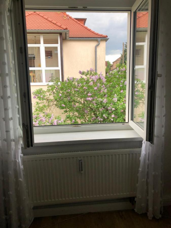 Апартаменти Wohlfuehloase Dresden Nickern Екстер'єр фото